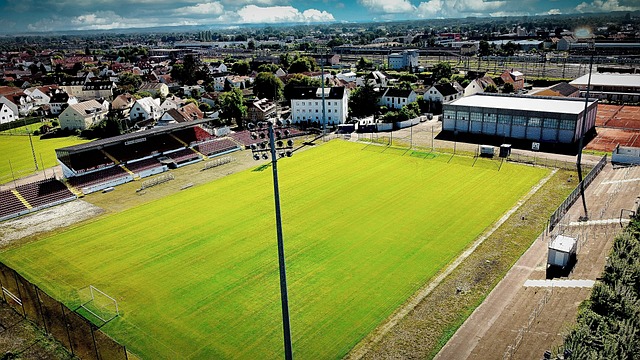 面对这样的 面对这样的