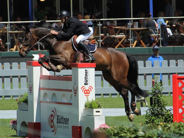 转会费用 转会费用