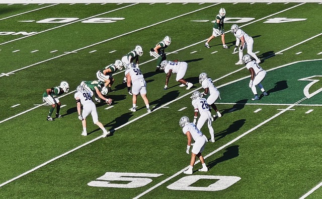 仍将是推动 仍将是推动