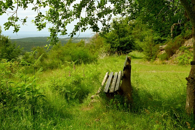 动员间的误 动员间的误